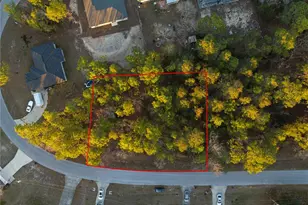 Tbd Bahia Trace Loop, Ocala, FL 34472 - Photo 1