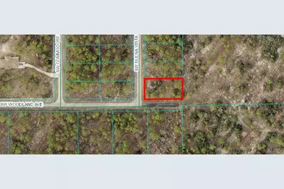 00 SW Buena Vista Road, Dunnellon, FL 34431 - Photo 1