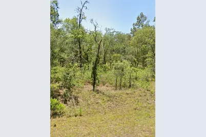 00 NW Mallard Avenue, Dunnellon, FL 34431 - Photo 1