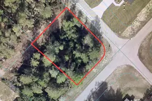 0 SW 44 Circle, Ocala, FL 34473 - Photo 1