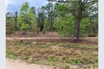 Sw 152nd Court, Ocala, FL 34481 - Photo 1