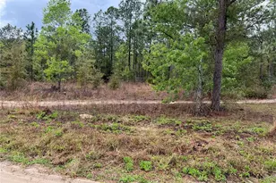 SW 152nd Ct, Ocala, FL 34481 - Photo 1