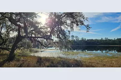 Lot 1 - 10.05Ac E Hwy 318, Citra, FL 32113 - Photo 1