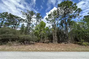 Tbd SW Anchor Blvd, Dunnellon, FL 34431 - Photo 1