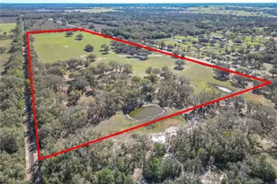 Tbd SE Hwy 41 Hwy, Morriston, FL 32668 - Photo 1