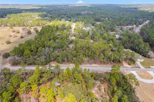 4201 W Fountain Ln, Citrus Springs, FL 34433 - Photo 1