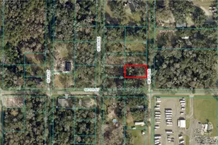 Tba SE 65 Terrace, Summerfield, FL 34491 - Photo 1