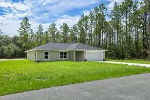 1370 SW Obee Ridge Rd, Dunnellon, FL 34432 - Photo 1