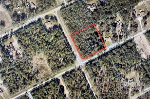 Tbd SW 52nd Ln Rd, Dunnellon, FL 34432 - Photo 1