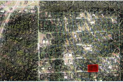 Tbd NE 200th Pl, Fort Mc Coy, FL 32134 - Photo 1