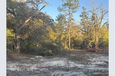 00 SW Gardenia Court, Dunnellon, FL 34431 - Photo 1