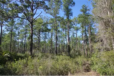0 NE 67th Avenue, Citra, FL 32113 - Photo 1