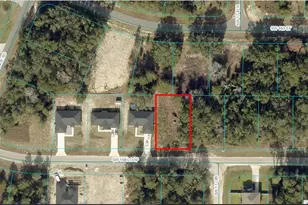 Tba SW 168 Loop, Ocala, FL 34473 - Photo 1