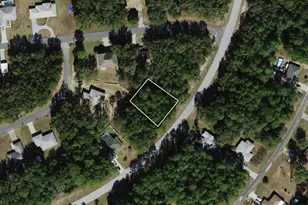 8110 N Golfview Dr, Citrus Springs, FL 34434 - Photo 1