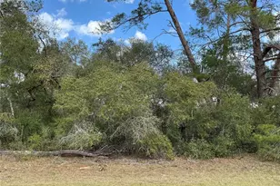 0 SW 152nd Ln, Ocala, FL 34473 - Photo 1