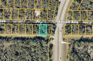 Tbd Kalish Ave, North Port, FL 34286 - Photo 1