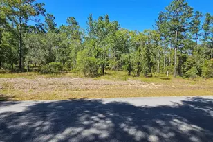 0 NW Mallard Ave, Dunnellon, FL 34431 - Photo 1