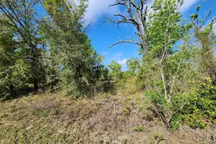 Oxalis Ct, Dunnellon, FL 34431 - Photo 1