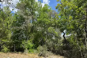 Tbd SW Big Bear Ridge, Dunnellon, FL 34431 - Photo 1