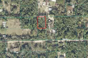 00 NE 234th Ln, Fort Mc Coy, FL 32134 - Photo 1