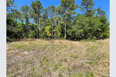 Lot 25 SW 21st Place, Ocala, FL 34481 - Photo 1