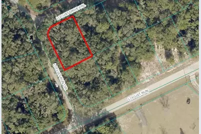 Tbd Locust Drive Trail, Ocala, FL 34472 - Photo 1
