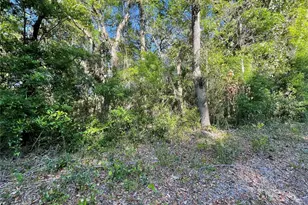 Lot 3 NW 82 Ct, Chiefland, FL 32626 - Photo 1