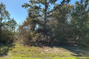 0 SW 37th Terrace, Ocala, FL 34473 - Photo 1