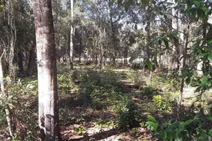 Beaverhead St, Alford, FL 32420 - Photo 1