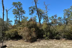 0 SW 175th Loop, Ocala, FL 34473 - Photo 1