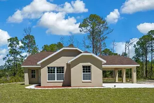 13491 E Hwy 316, Fort Mc Coy, FL 32134 - Photo 1