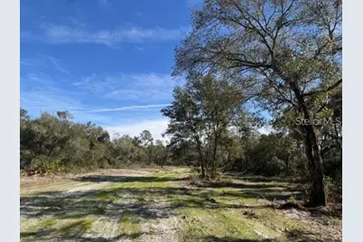 Ne 150th Ave Road #LOT 2, Fort Mc Coy, FL 32134 - Photo 1