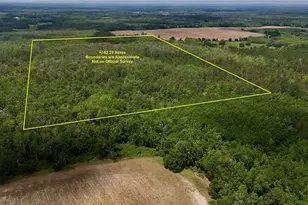 SW Oviedo Trail, Greenville, FL 32331 - Photo 1