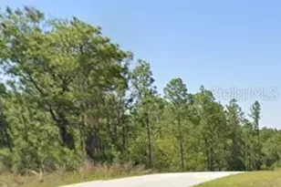 Tbd SW Admiral Landind Dr, Dunnellon, FL 34431 - Photo 1