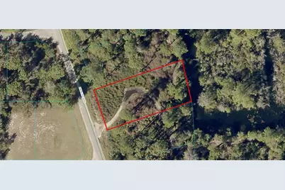 Lot 22 Malauka Pass, Ocklawaha, FL 32179 - Photo 1