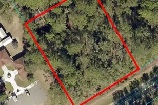 Hwy 40, Dunnellon, FL 34432 - Photo 1