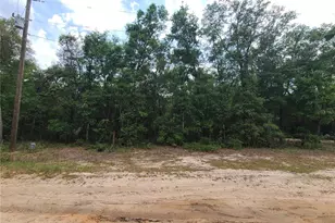 6504 Baylor Ave, Keystone Heights, FL 32656 - Photo 1