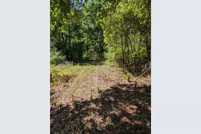 0 NW 202nd Place, Mc Intosh, FL 32664 - Photo 1