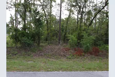 Lot 37 SW Hunter Hill Avenue, Dunnellon, FL 34431 - Photo 1