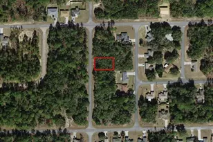 6439 N New Japan Terrace, Dunnellon, FL 34434 - Photo 1