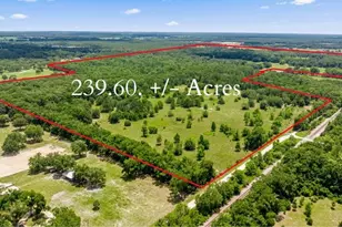 651 SE 195 Ave, Williston, FL 32696 - Photo 1