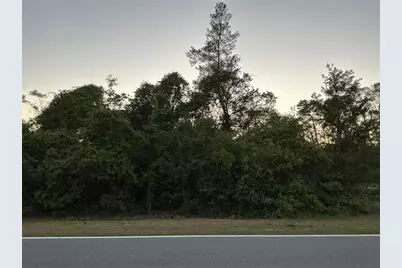 Se 145th Avenue, Ocklawaha, FL 32179 - Photo 1
