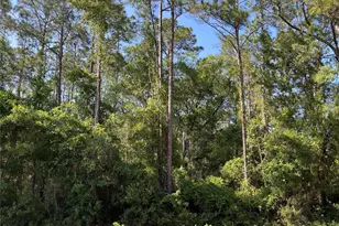 4200 Helena St, Hastings, FL 32145 - Photo 1