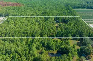 11521 SE 1st Street Rd, Silver Springs, FL 34488 - Photo 1