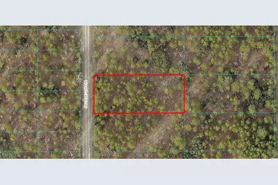 Tbd Lot 24 SW Little Cliffs Drive, Dunnellon, FL 34431 - Photo 1