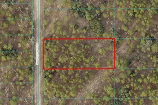 Tbd Lot 24 SW Little Cliffs Dr, Dunnellon, FL 34431 - Photo 1