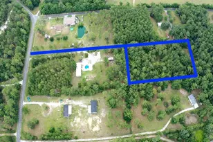 Tbd NE 105th St, Fort Mc Coy, FL 32134 - Photo 1