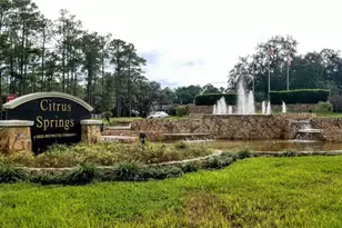 8881 N Irondale Rd, Citrus Springs, FL 34434 - Photo 1