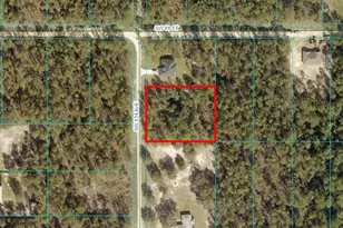 Tbd Lot 12 SW 134th Ave, Dunnellon, FL 34432 - Photo 1