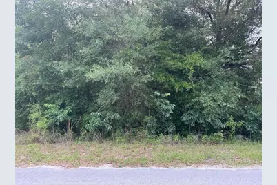 Lot 422 & 423 SW Shorewood Drive, Dunnellon, FL 34431 - Photo 1